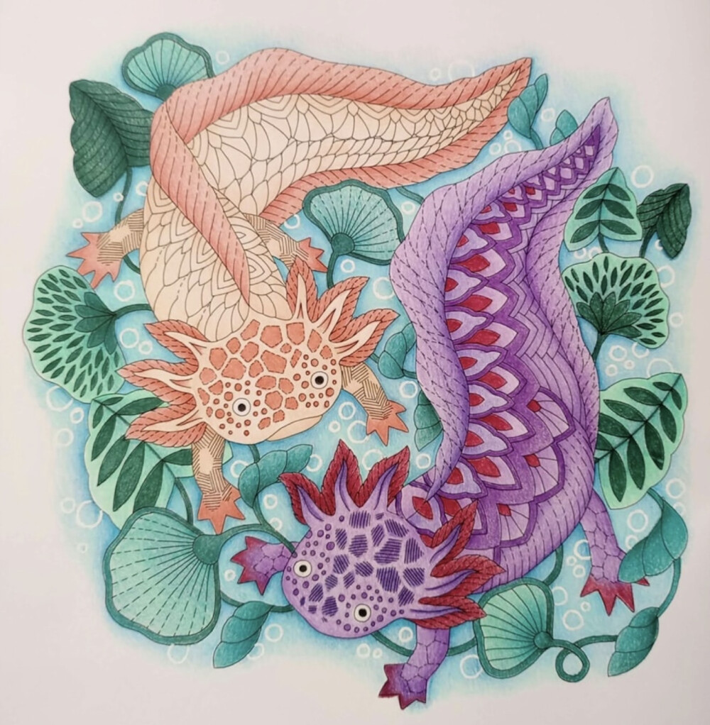 涂色