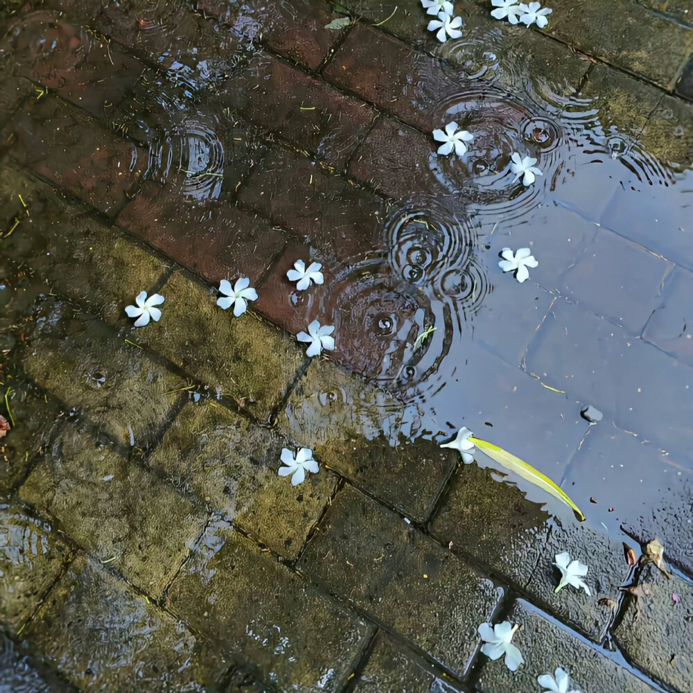 背景图
