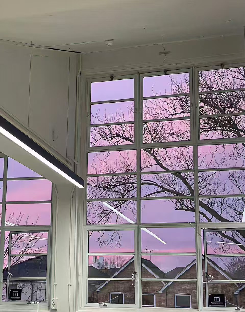 紫色头像背景图