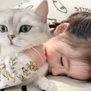 娃头