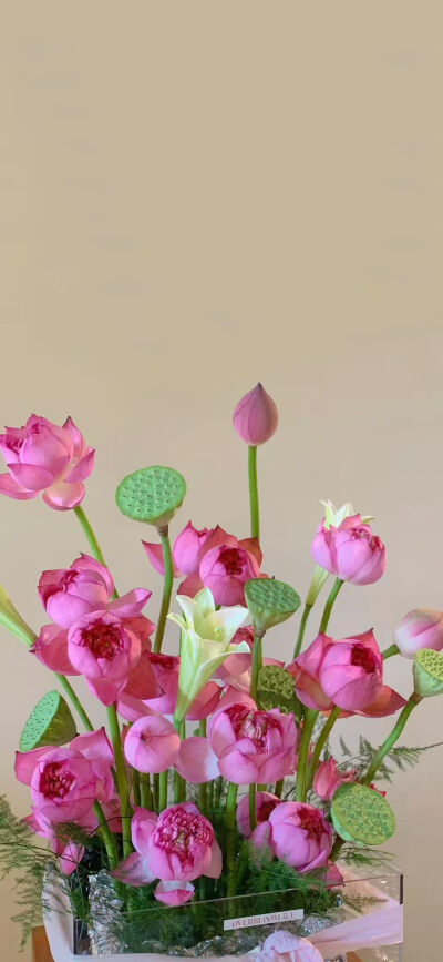 别离，是为了更美妙的重逢
