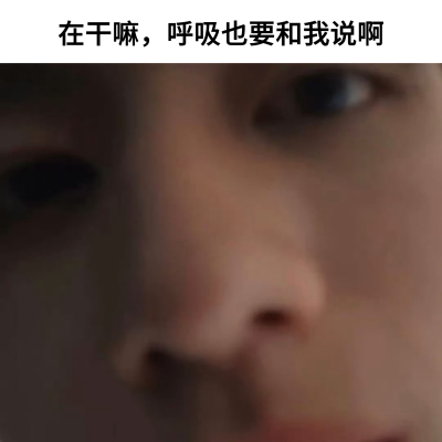 芝心小猫