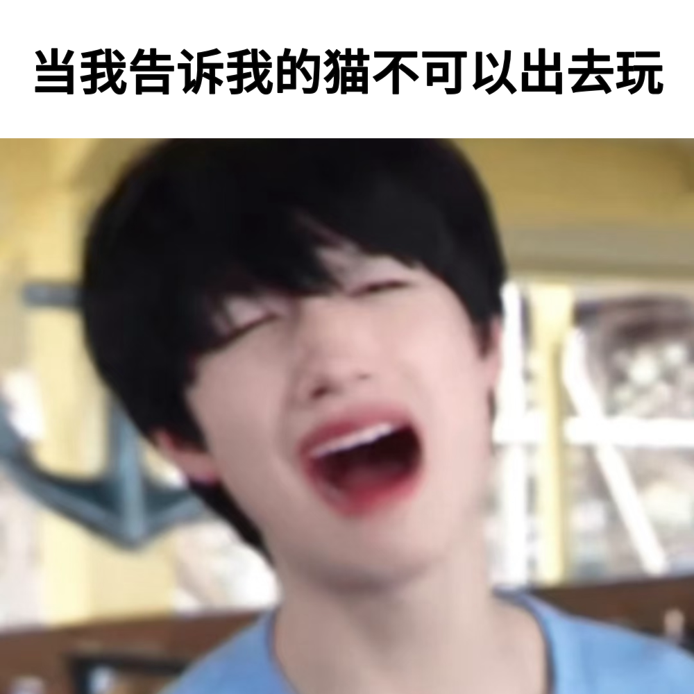 芝心小猫