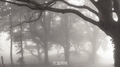 你就像艺术品