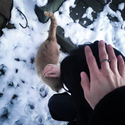 张元英
-
愛根本不是安慰物，而是頭骨中的一枚釘子。