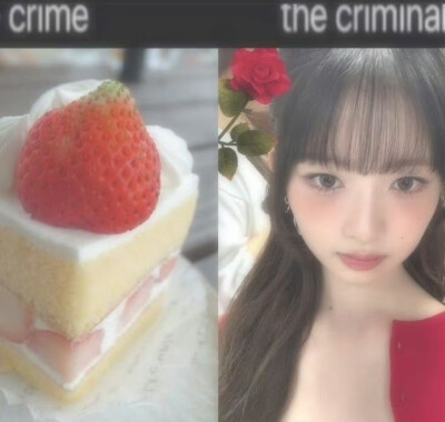 /ᐠっ˕ -マ