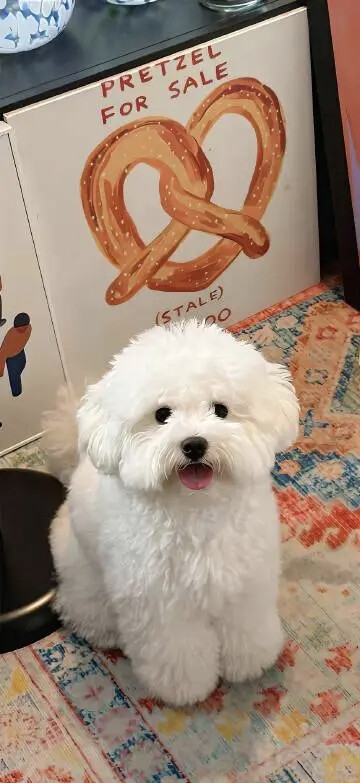 壁纸