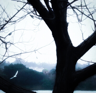 张元英
-
愛根本不是安慰物，而是頭骨中的一枚釘子。