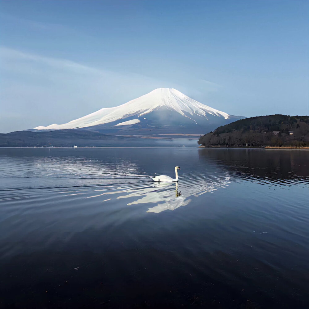 背景图