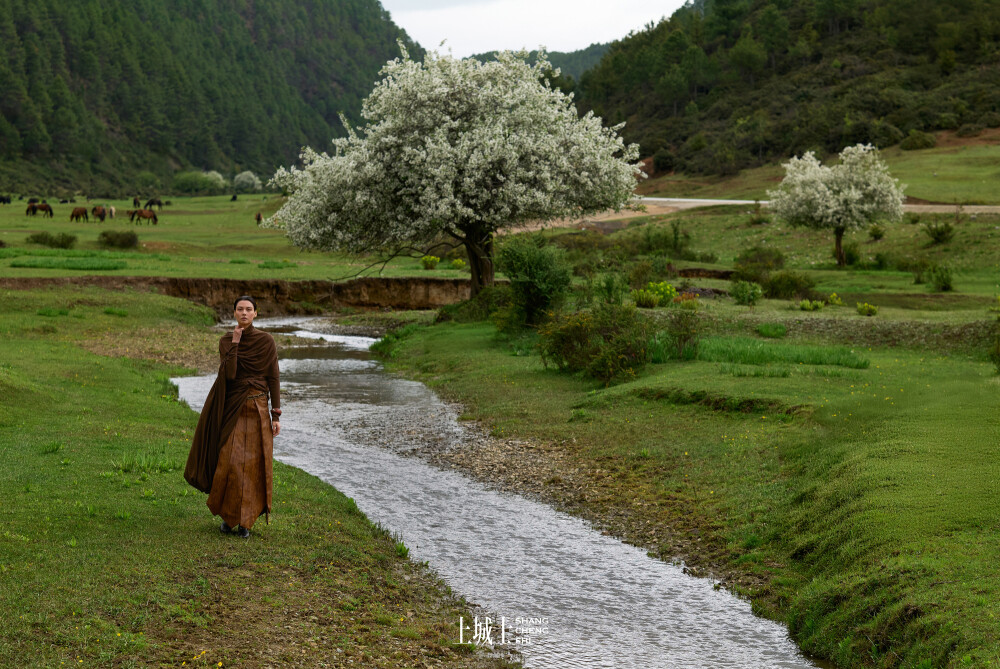 王雯琴，香格里拉心途录
上城士途中风物
场地：松赞林景区，松赞香格里拉林卡，松赞绿谷山居 ​​​