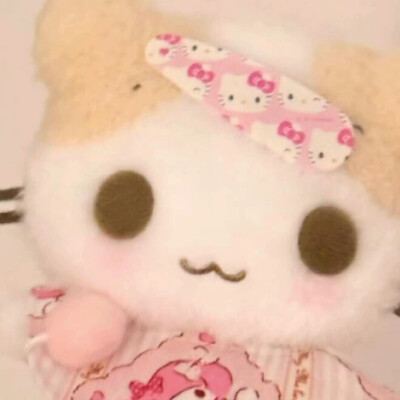棉花糖猫