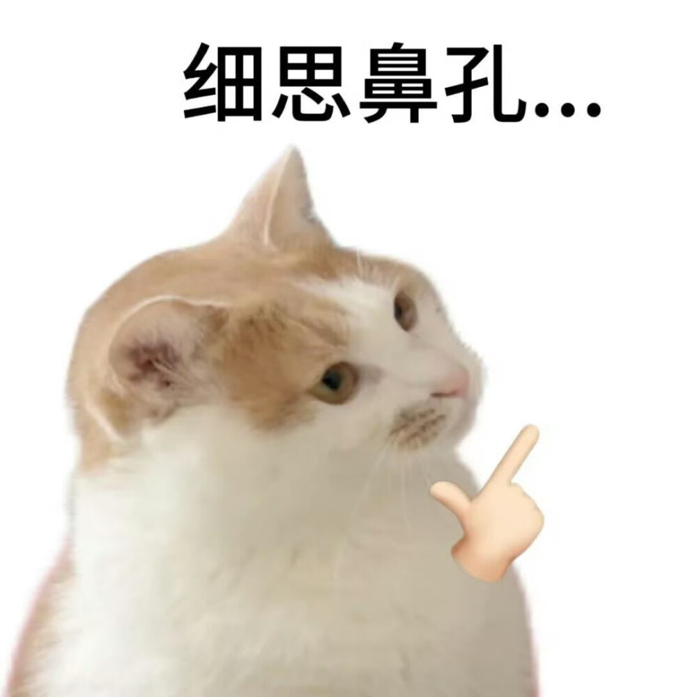 表情包·图源微博