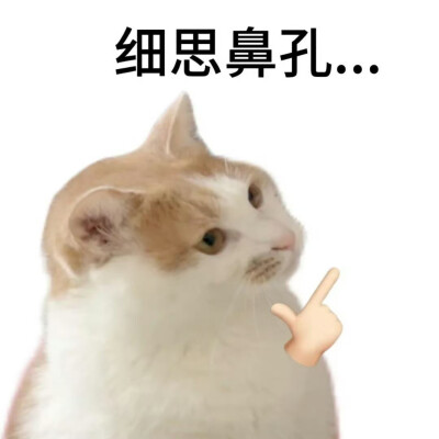 表情包·图源微博