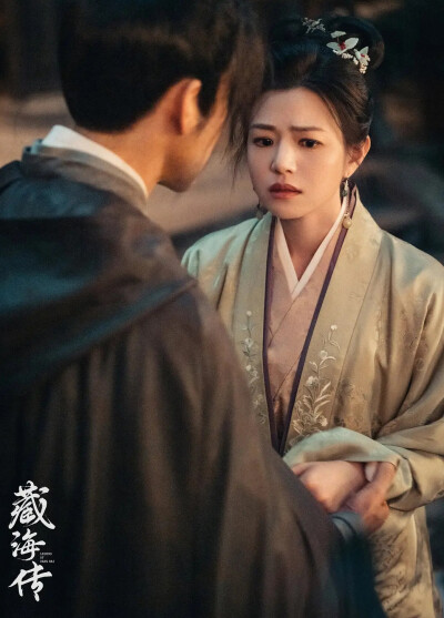 藏海传