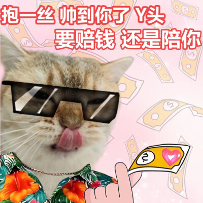 沙雕动狗表情包