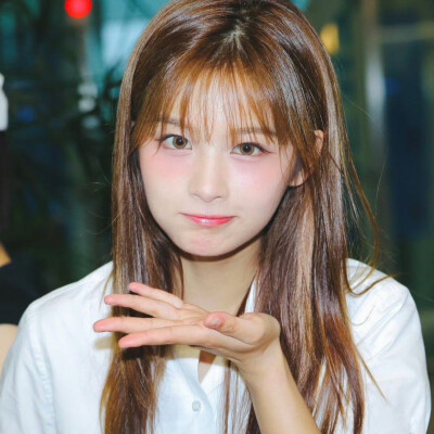 _iris_sy