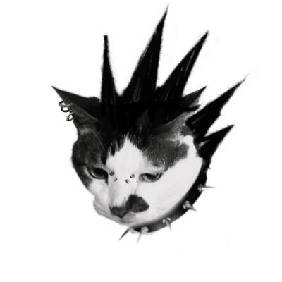 朋克小猫 头像