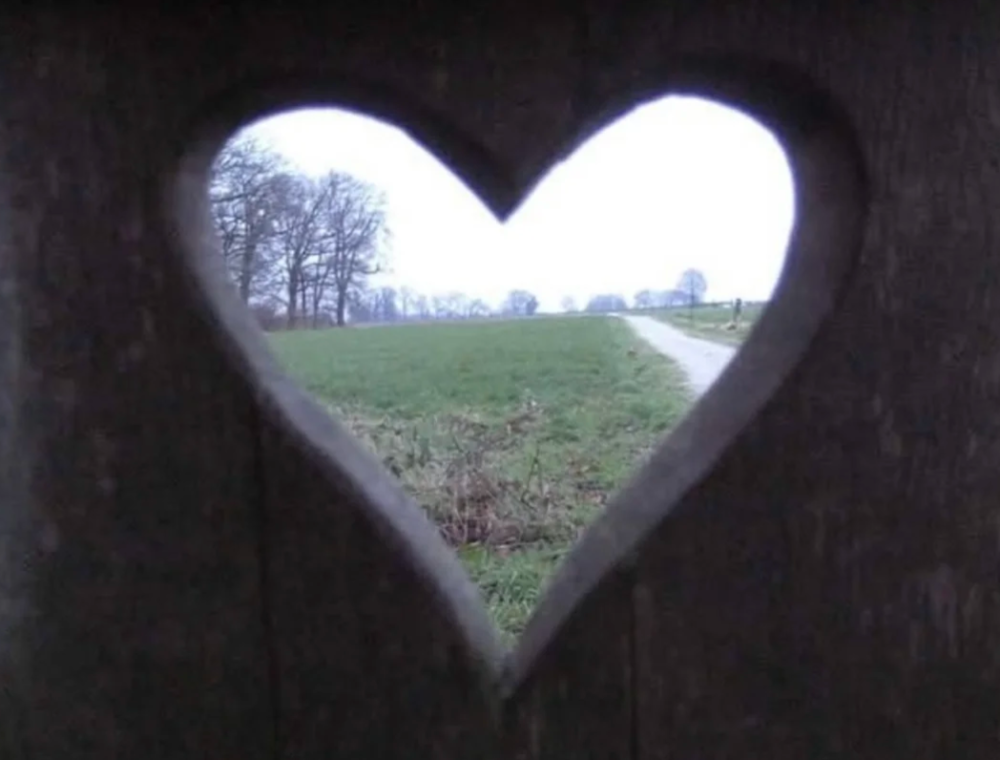 我的心是一片旷野