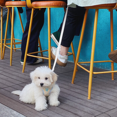 那些被治愈的瞬间