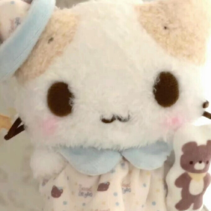 棉花糖猫
