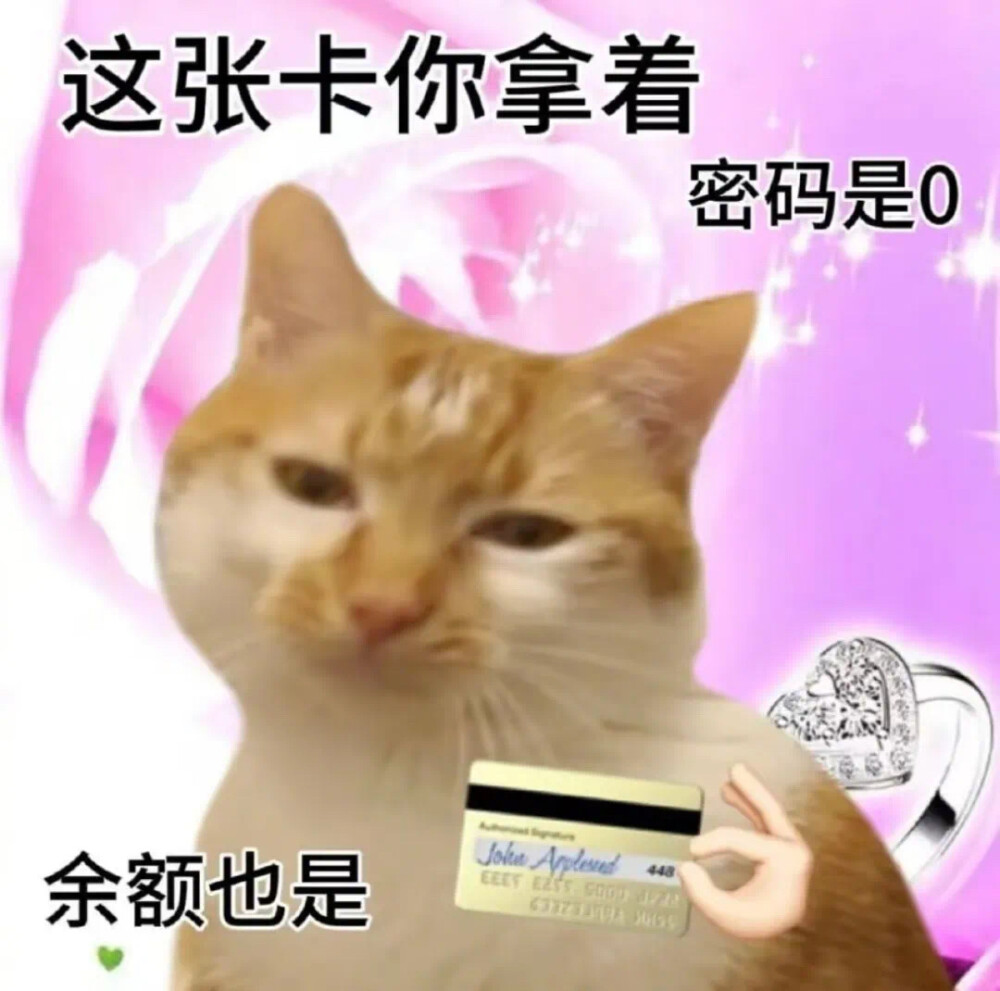 沙雕动狗表情包