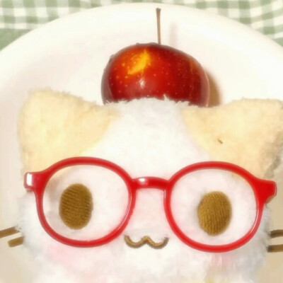 棉花糖猫