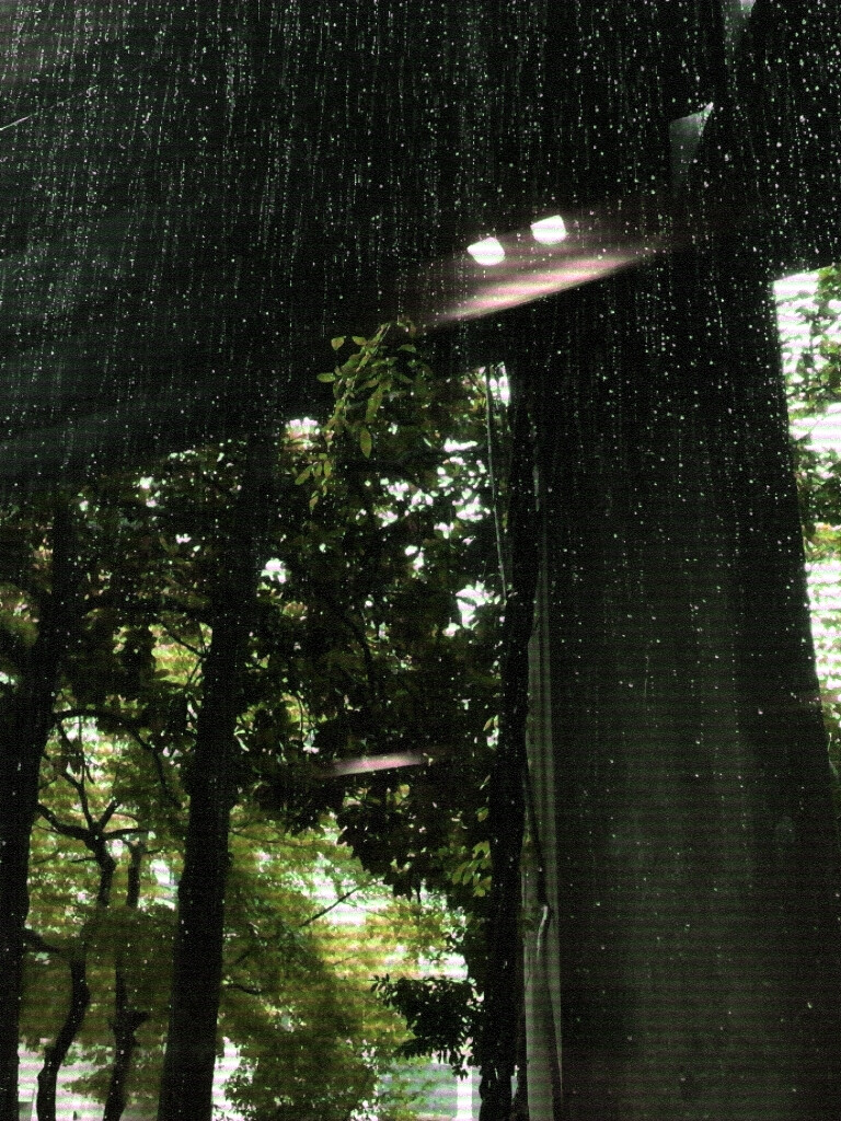 
水泼落地难收回2009