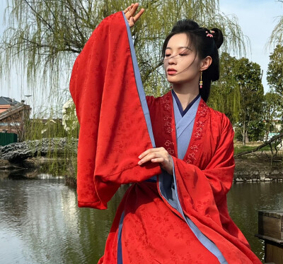 藏海传