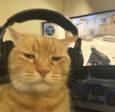 ！