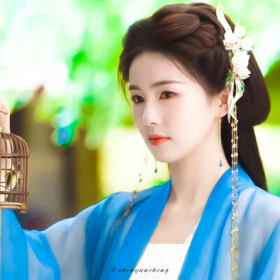 白鹿