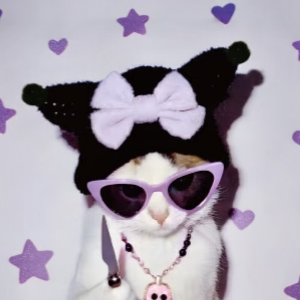 猫咪头像