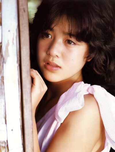 毛利兰的原型菊池桃子