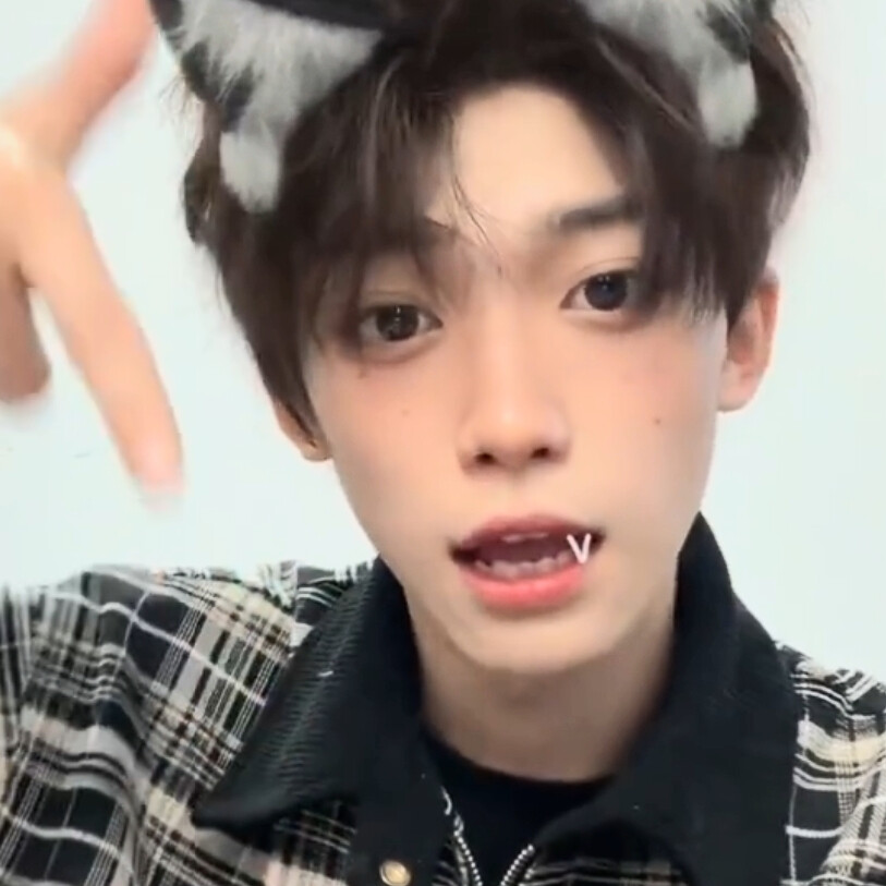 完全是狗宝宝吧