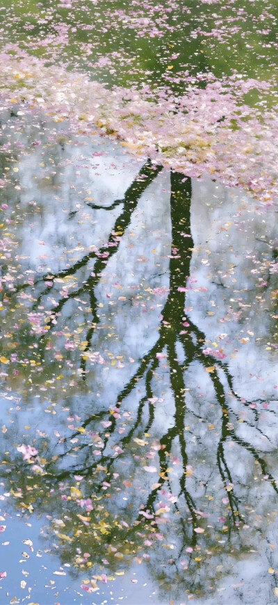 风景壁纸
