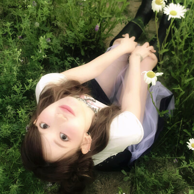 森之境（The forest）、산야·＂树与光＂…