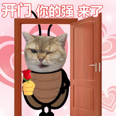 沙雕动狗表情包