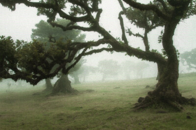 
水泼落地难收回2009