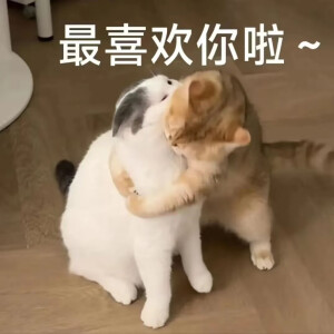表情包·图源微博
