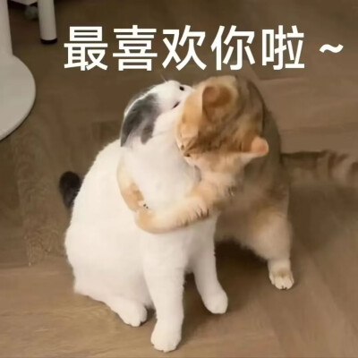 表情包·图源微博