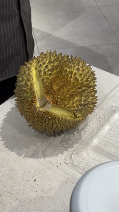 榴莲