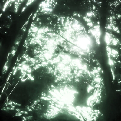 枫搖曳的體贴<꽃이 시들다>*i ngan fhios.