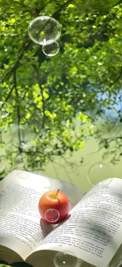 壁纸