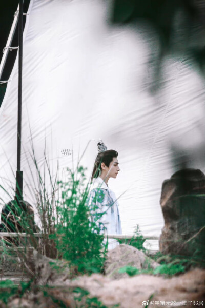 《皓衣行》【楚晚宁】罗云熙