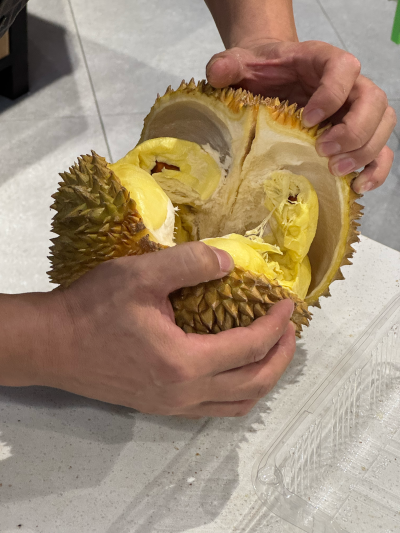 榴莲