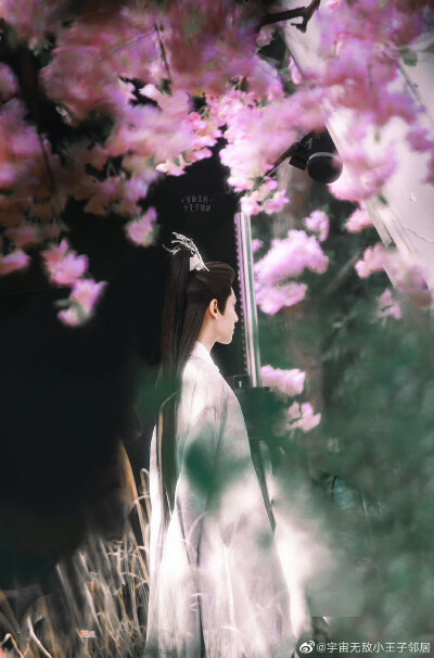 《皓衣行》【楚晚宁】罗云熙