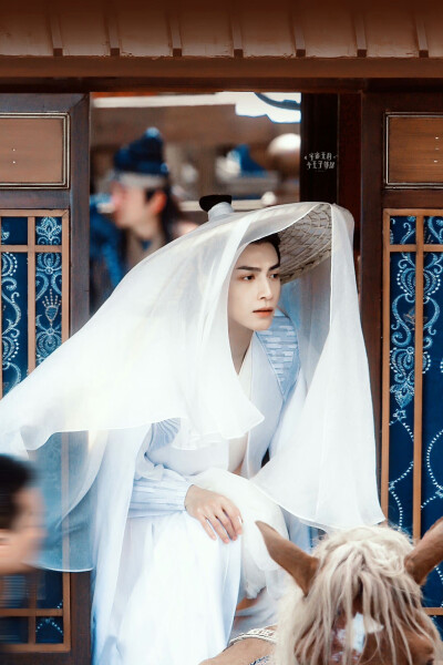 《皓衣行》【楚晚宁】罗云熙