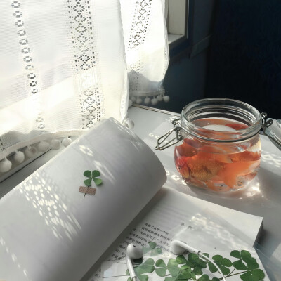 白色系背景图 ins背景图