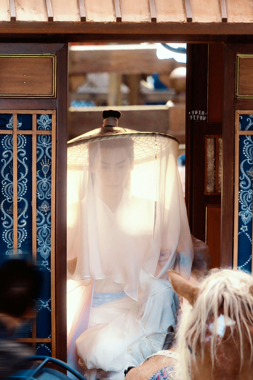 《皓衣行》【楚晚宁】罗云熙