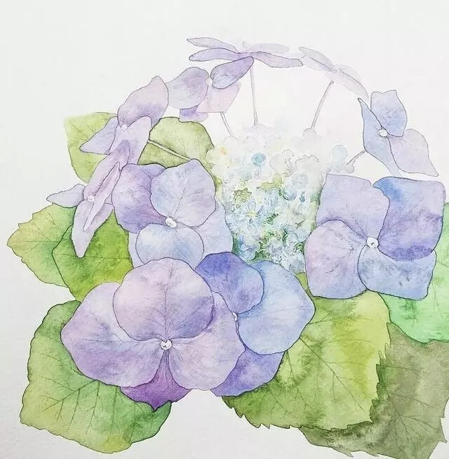 艺术家Sora Kim，一个热爱画画的人“不知名”的插画师，但是，她的水彩画，让很多粉丝佩服不已