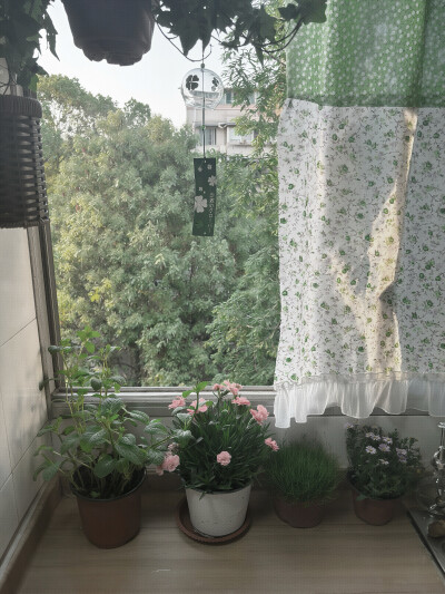 壁纸